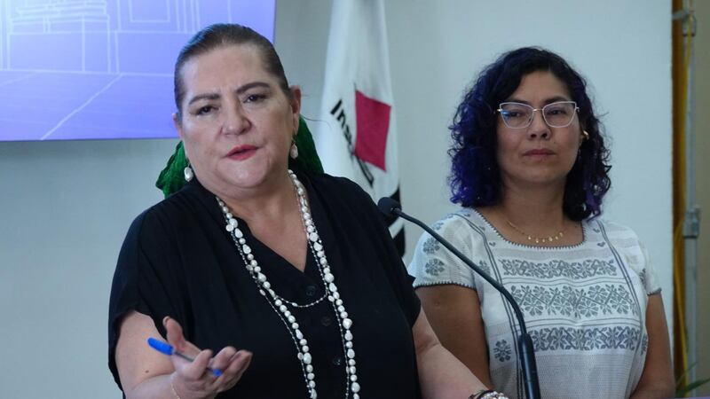 “Primeros resultados de la Elección Judicial se darán el 2 de junio”, prevé Taddei