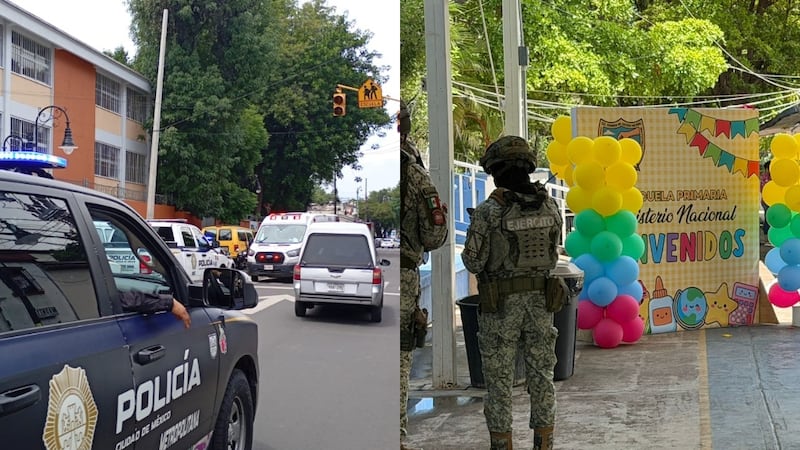 Abejas atacan a alumnos en escuelas de CDMX y Culiacán en pleno regreso a clases