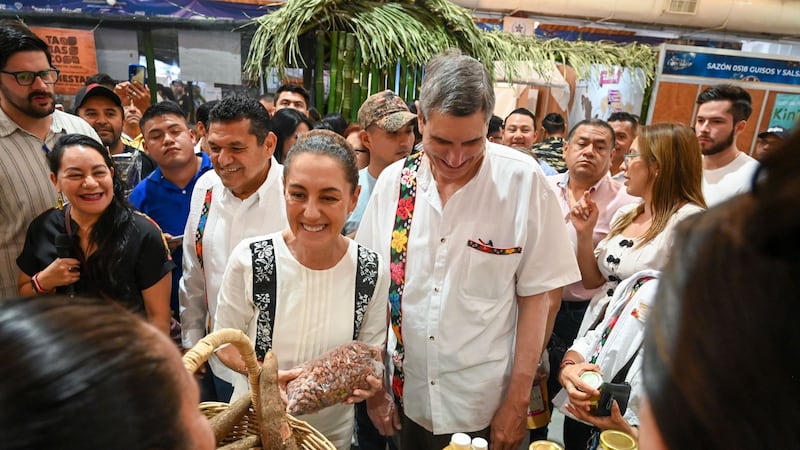 Anuncian construcción de una planta procesadora para ‘Chocolate Bienestar’, en Tabasco