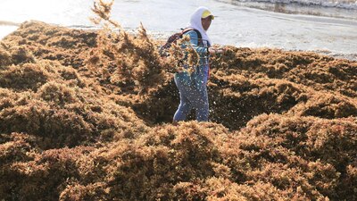 Las playas de la Península sufren por este problema