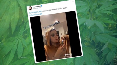 La diputada se ha caracterizado por las polémicas que genera en redes sociales