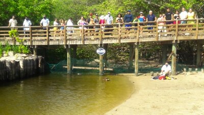 El pequeño se encontraba jugando en la playa El Palmar, localizada en el balneario de Ixtapa Zihuatanejo