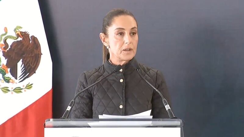 Sheinbaum anuncia legislación contra la siembra de maíz transgénico