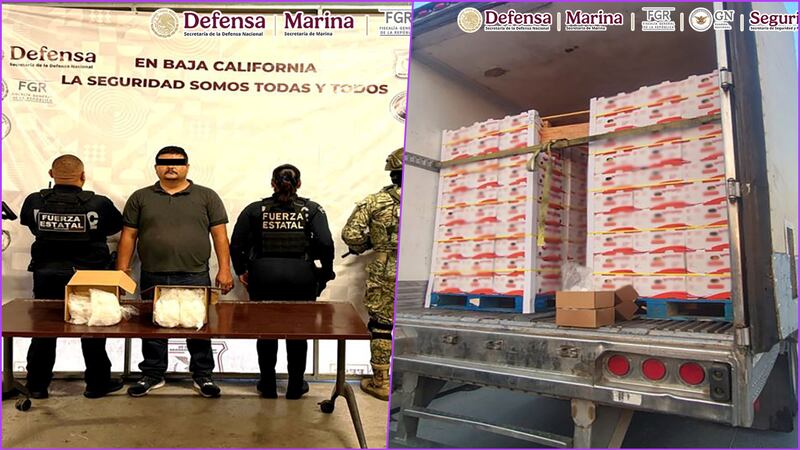 Cae en Tijuana conductor que transportaba más de 1 tonelada de metanfetamina en camión de tomates