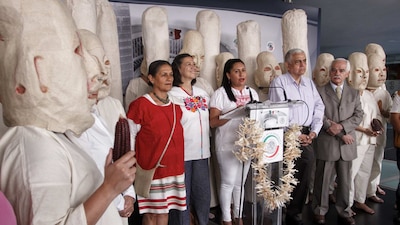 La senadora presentó una iniciativa de ley para proteger el maíz nativo