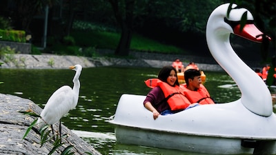 Este grupo suele ser el que mayor satisfacción tiene en la vida