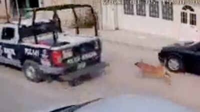 En Chiapas se investiga a elementos de la policía por este acto