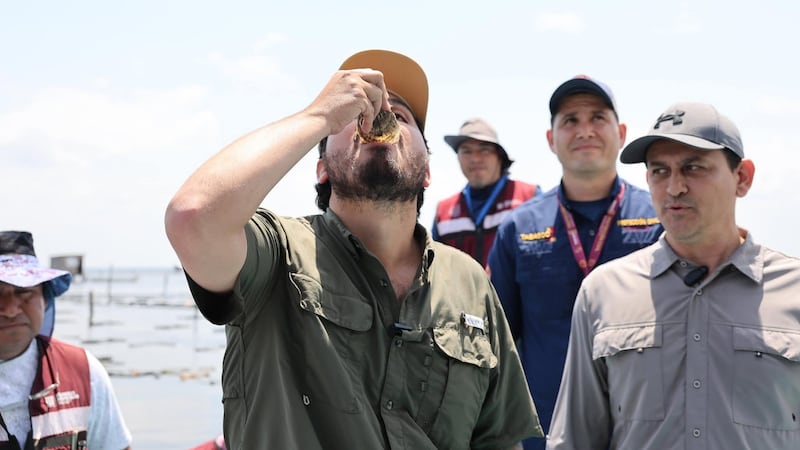 Funcionario de Tabasco come ostión salido del agua pese a alerta por presencia de combustible