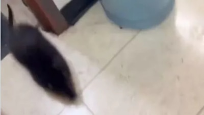 No se sabe en qué universidad sucedieron los hechos.