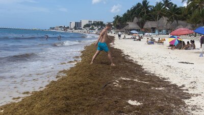 El sargazo afecta a gran parte del Caribe