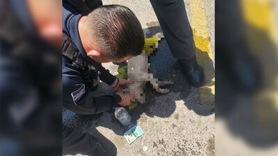 Policías intentaron reanimar al cachorro, pero sus signos vitales esaban muy débiles