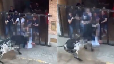 La persona de la tercera edad murió al recibir una cornisa del animal