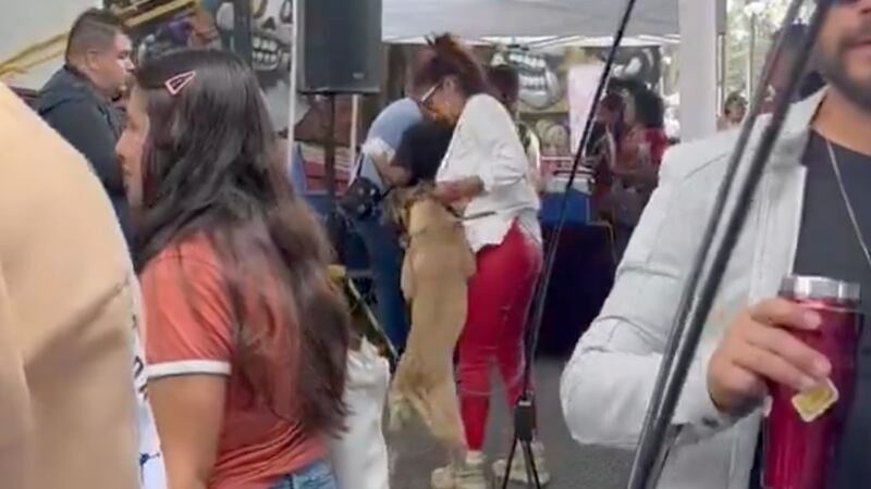 Exhiben a titular de la Agencia de Atención Animal de CDMX presuntamente maltratando a perro