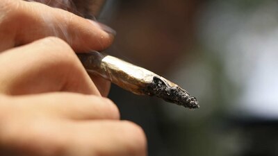 En Uruguay es legal producir, comprar y consumir marihuana desde 2013