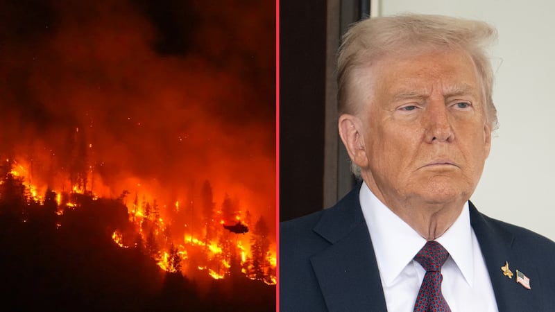 Trump culpa a Canadá por incendios forestales; científicos aseguran que es por el cambio climático