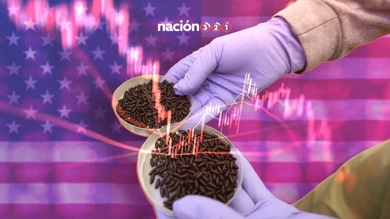 La plaga que lastima al país: así ha padecido México los efectos del gusano barrenador