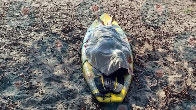 Muere joven turista estadounidense tras ataque de tiburón en México