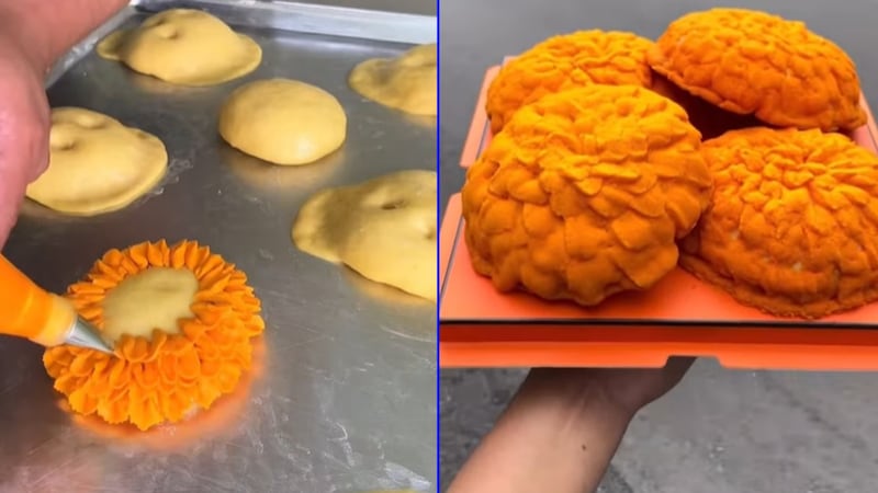 VIDEO: Surge la concha de cempasúchil y enloquece a los internautas mexicanos