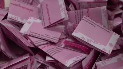 Participaron 6 millones 658,288 de votantes y el ejercicio tuvo un costo de 528 millones de pesos