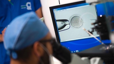 Entre cuatro y cinco millones de parejas en México sufren problemas de fertilidad