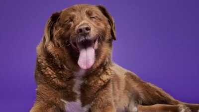 Vivía en Portugal y tenía 31 años y 165 días de edad