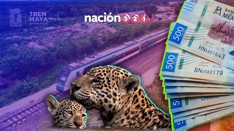 Polémicas, logros y sueños: aniversario del Tren Maya