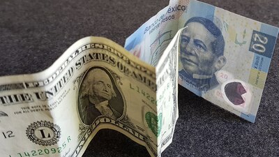 El pesito sigue cayendo y está próximo a alcanzar las 20 unidades frente a la moneda de EU