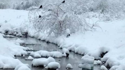 En el norte del estado se registran intensas nevadas y temperaturas gélidas para el resto de los municipios
