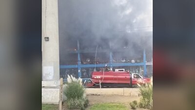 Hasta el momento se han atendido a 4 personas por intoxicamiento