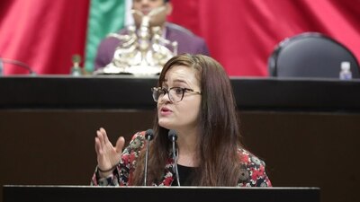 La diputada de Morena ya ha insultado en distintas ocasiones a la legisladoras de oposición.