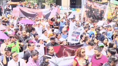 En varios estados, grupos de alumnos y profesores apoyan la reforma