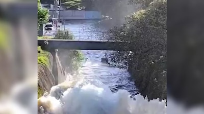 Megafuga en Xochimilco.
