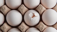 Retiran del mercado más de 19 millones de huevos por posible riesgo de contaminación salmonela