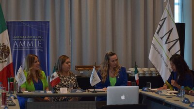 Marisol Rumayor fue elegida, en marzo pasado, para encabezar la AMMJE Megalópolis