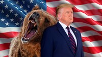 La clave es que no nos coma el oso (Trump)