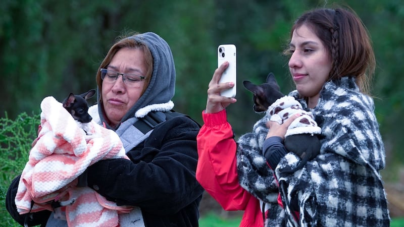 Activan alerta por vientos fuertes en 9 alcaldías de la CDMX