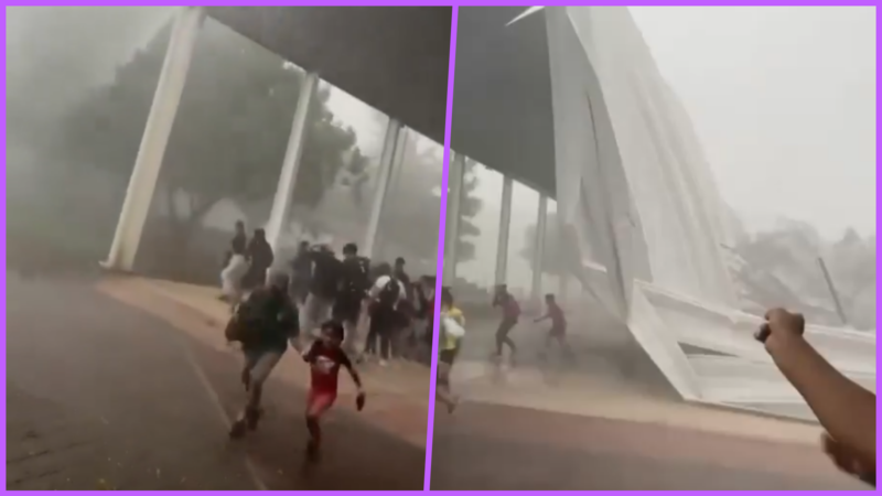 VIDEO: “¡Hay gente adentro!“, tromba derriba árboles en Michoacán y deja a una persona sin vida