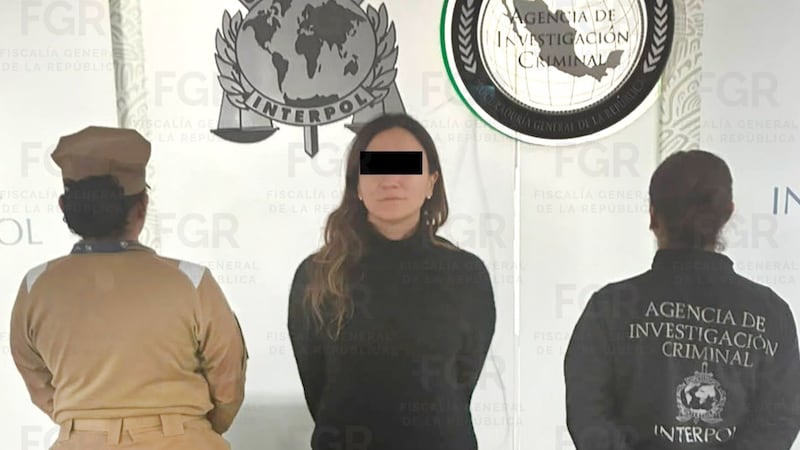 Detienen a Gilda ‘N’, hermana de Emilio Lozoya, por presunto lavado en el caso Agronitrogenados