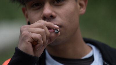 El Pleno del Senado aprobó el dictamen por el que se expide la Ley Federal para la regulación de la cannabis