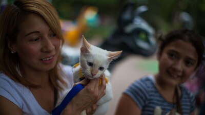 En en al año, hay otros dos y cada  uno tiene una historia