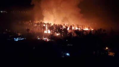 Consumió más de 50 hectáreas que sofocaron entre elementos de seguridad y voluntarios