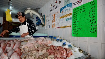 Los mexicanos pagamos más dinero por pescado que tiene hasta 50% de hielo