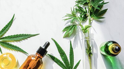 La decisión de la SCJN implica la siembra de la cannabis para crear productos de cáñamo