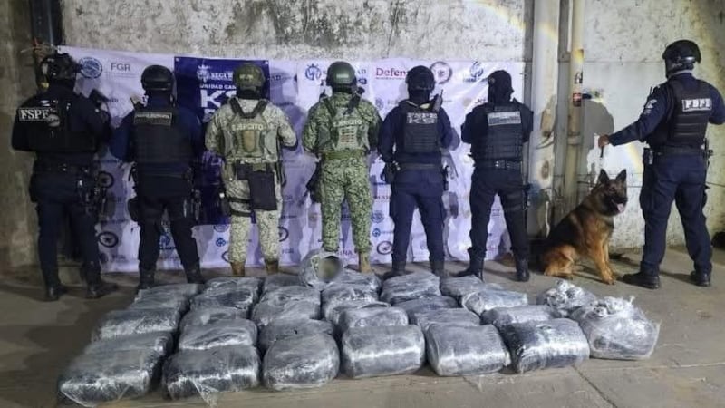 Perro policía ‘Titán’ encuentra más de 126 mil dosis de droga oculta en Guanajuato