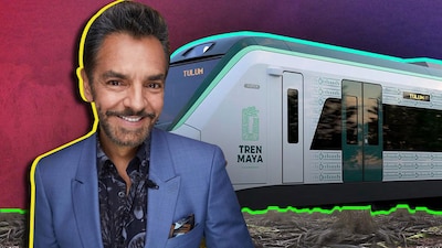 Ambientalistas acusan que el Tren Maya carece de estudios de impacto ambiental