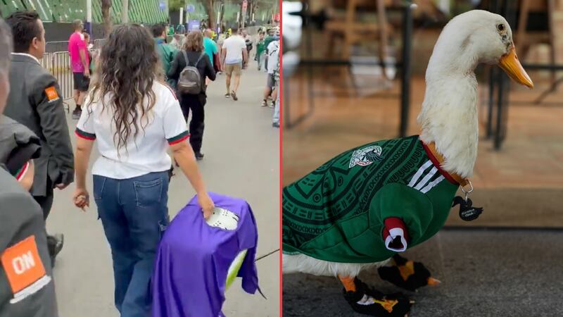 ¡Ni ‘Merlín’ se salvo de los estrictos protocolos! El pato se queda fuera del México vs. Chequia