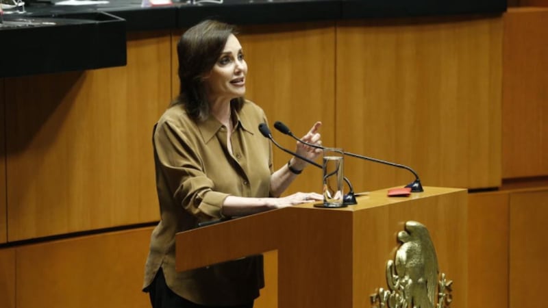 “El Estado mexicano no puede con los cárteles de la droga”, asegura Lilly Téllez