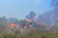 ¡Arde el país! Hay 44 incendios forestales activos en México