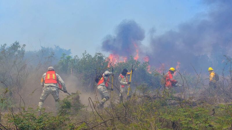 ¡Arde el país! Hay 44 incendios forestales activos en México