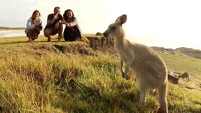 Aquí te dejamos 5 pasos para que inicies una nueva vida en Oceanía